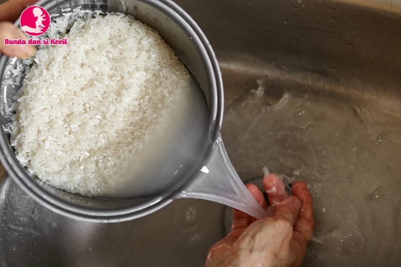 Air Cucian Beras: Pupuk Cair Alami Penuh Nutrisi untuk Tanaman Hias
